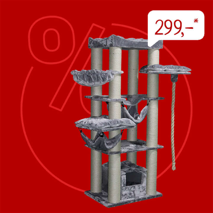 Nobby Kratzbaum Rubi 800x800